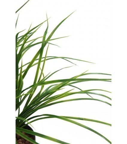 Herbe jonc artificielle