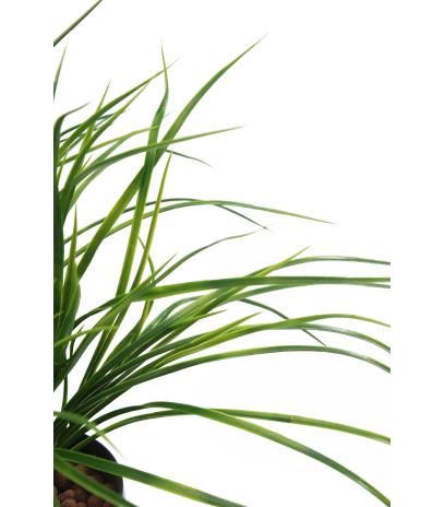 Herbe jonc artificielle