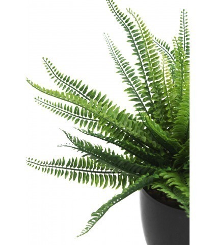 Fougère dentelée artificielle