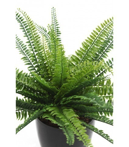 Fougère dentelée artificielle