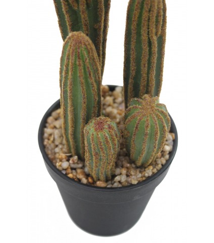 Mini cactus mamillaire artificiel