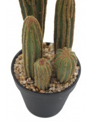 Mini cactus mamillaire artificiel