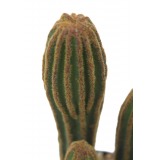 Mini cactus mamillaire artificiel