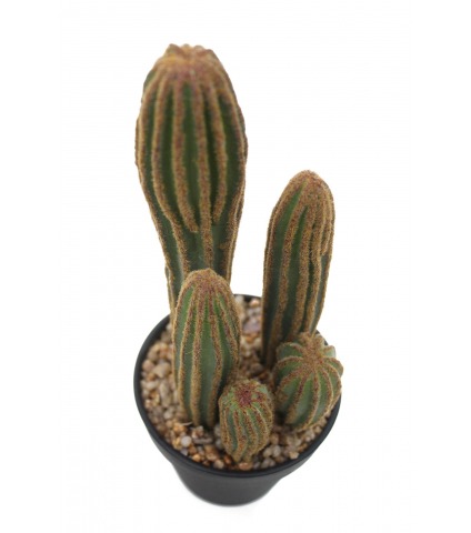Mini cactus mamillaire artificiel