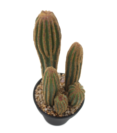 Mini cactus mamillaire artificiel