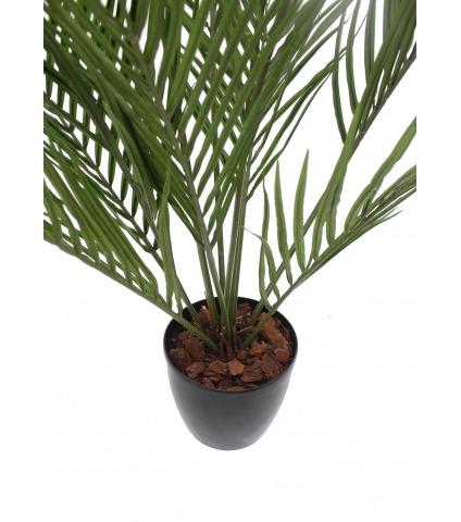 Palmier howea artificiel