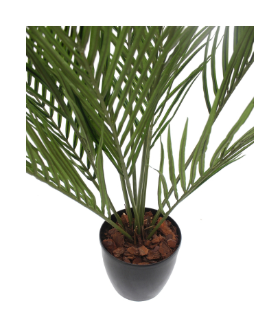 Palmier howea artificiel