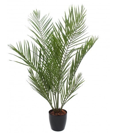 Palmier howea artificiel
