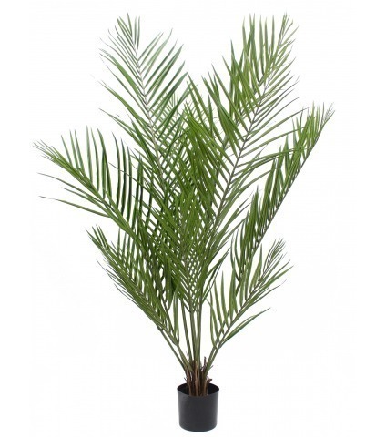 Palmier howea artificiel