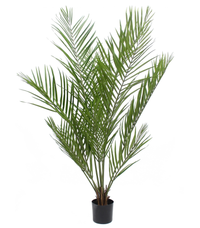 Palmier howea artificiel