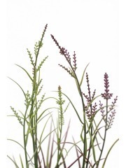 Herbe acorus artificielle violette