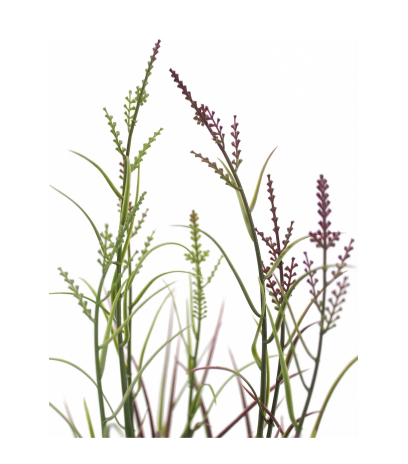 Herbe acorus artificielle violette