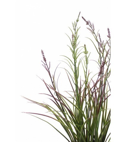 Herbe acorus artificielle violette