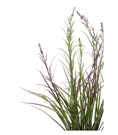 Herbe acorus artificielle violette