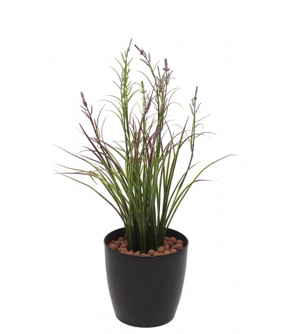 Herbe acorus artificielle violette