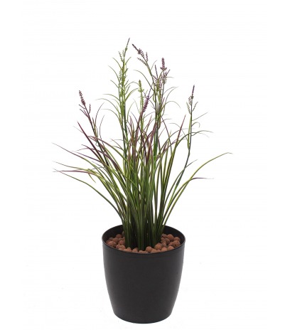 Herbe acorus artificielle violette