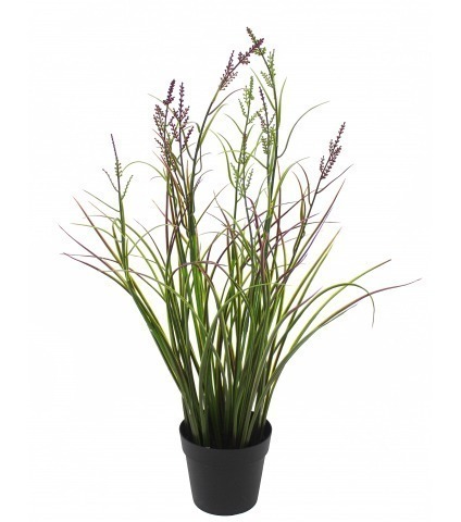 Herbe acorus artificielle violette