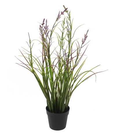 Herbe acorus artificielle violette