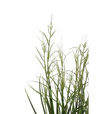 Herbe acorus artificielle blanche