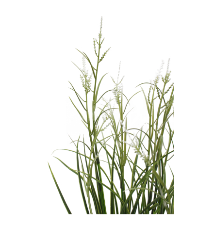 Herbe acorus artificielle blanche