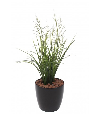 Herbe acorus artificielle blanche
