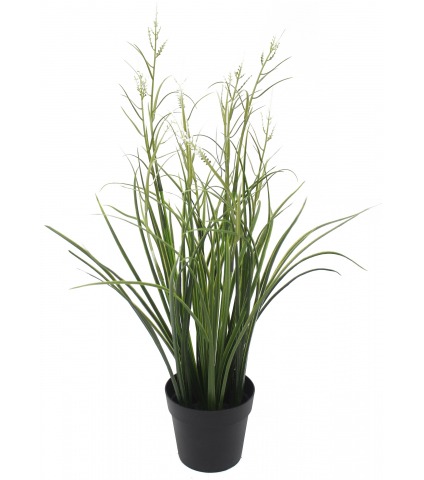 Herbe acorus artificielle blanche