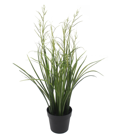 Herbe acorus artificielle blanche