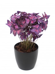 Oxalis triangulaire artificiel