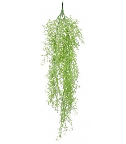 Tillandsia vert clair artificiel