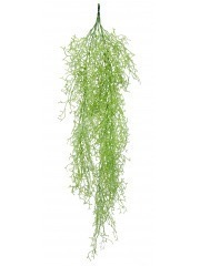 Tillandsia vert clair artificiel