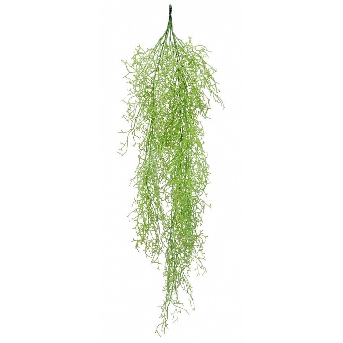 Chute de Tillandsia vert clair 90 cm - Plantes suspendues