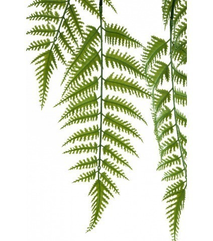 Chute de fougère dentelée artificielle