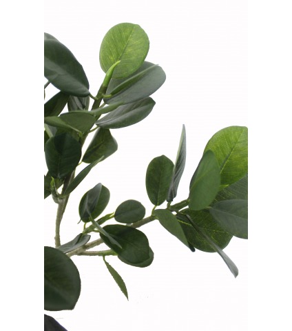 Rameau de ficus panda artificiel