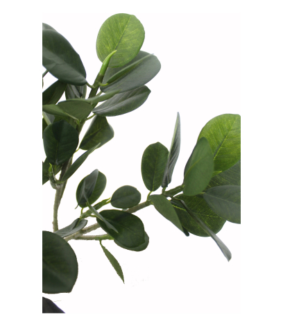Rameau de ficus panda artificiel