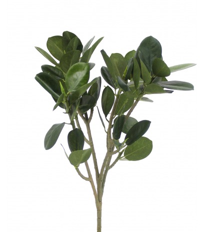 Rameau de ficus panda artificiel