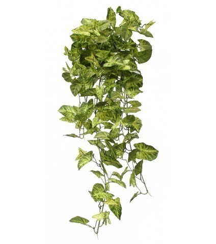 Chute de syngonium artificielle