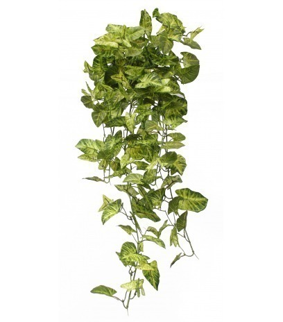 Chute de syngonium artificielle