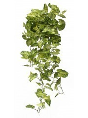 Chute de syngonium artificielle