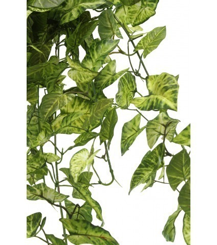 Chute de syngonium artificielle