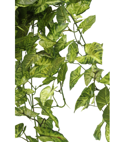 Chute de syngonium artificielle