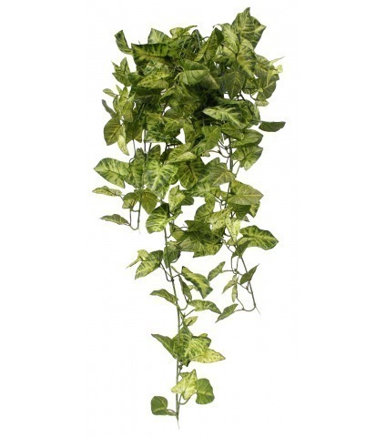 Chute de syngonium artificielle