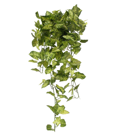 Chute de syngonium artificielle
