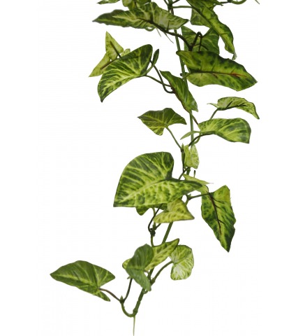 Chute de syngonium artificielle