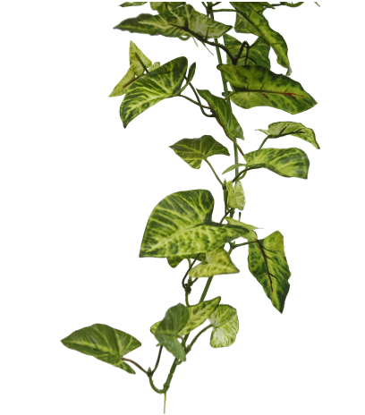 Chute de syngonium artificielle