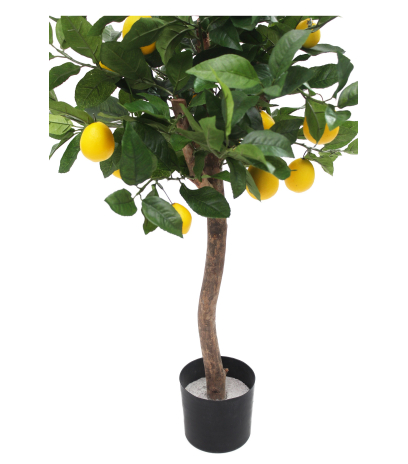 Pot