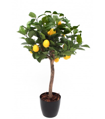 Petit citronnier artificiel