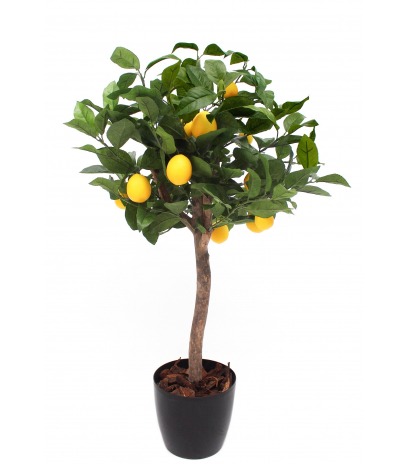 Petit citronnier artificiel