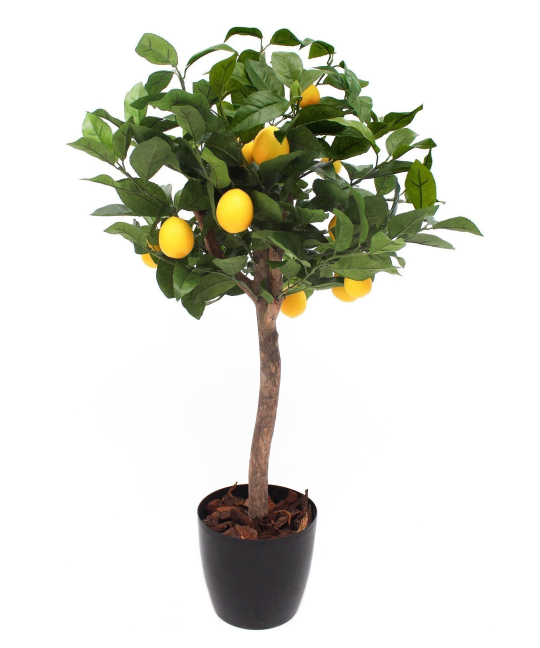 Treillis Décoratif Feuilles De Citronnier Artificiel – 180 X 90 Cm, Résistant Aux UV, Pour Habiller Murs Et Clôtures