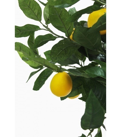 Petit citronnier artificiel