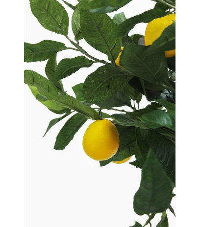 Petit citronnier artificiel